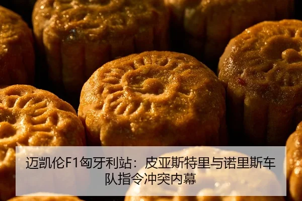 mai-kai-lun-xiong-ya-li-zhan-pi-ya-si-te-li-yu-nuo-li-si-che-dui-zhi-ling-chong-tu-nei-mu-2-926.jpg