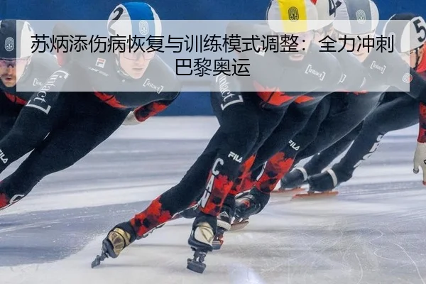 su-bing-tian-shang-bing-hui-fu-yu-xun-lian-mo-shi-tiao-zheng-quan-li-chong-ci-ba-li-ao-yun-2-812.jpg